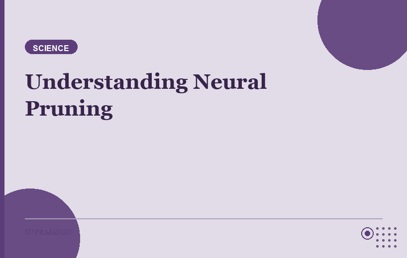 Understanding Neural Pruning: How the Brain Decides What to Keep