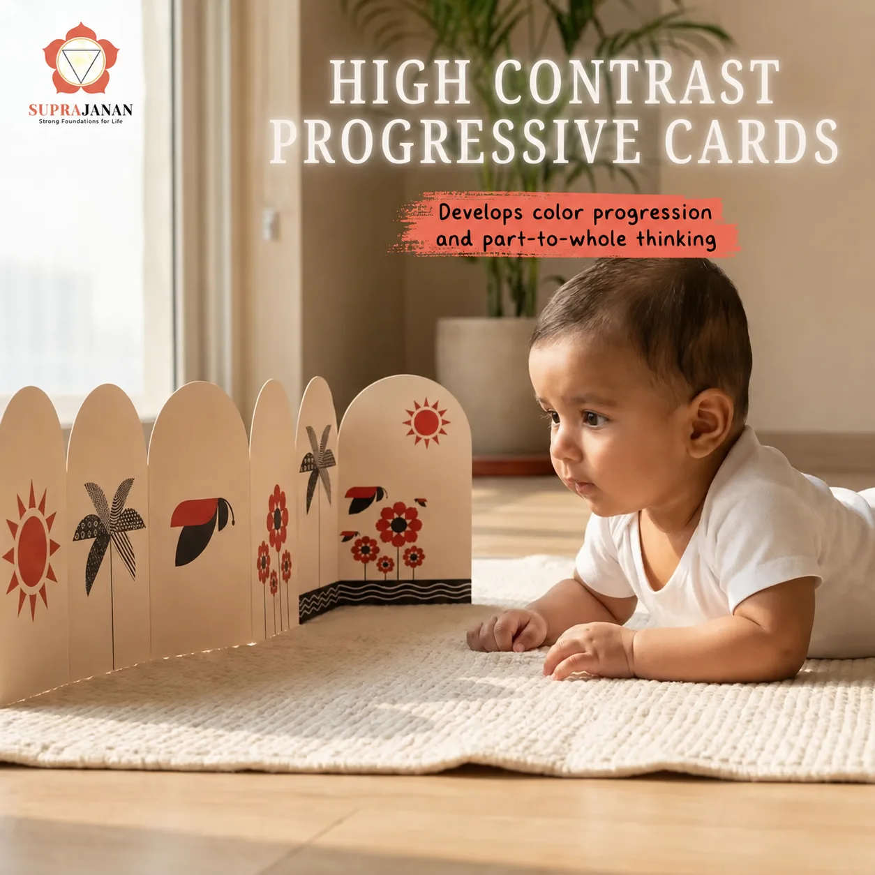 Drishti Cards Bundle - Image 3